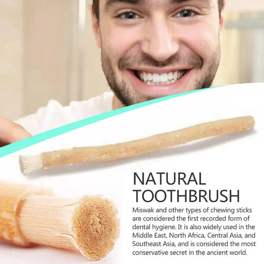 Ancient Miswak Toothbrush 3 pcs
